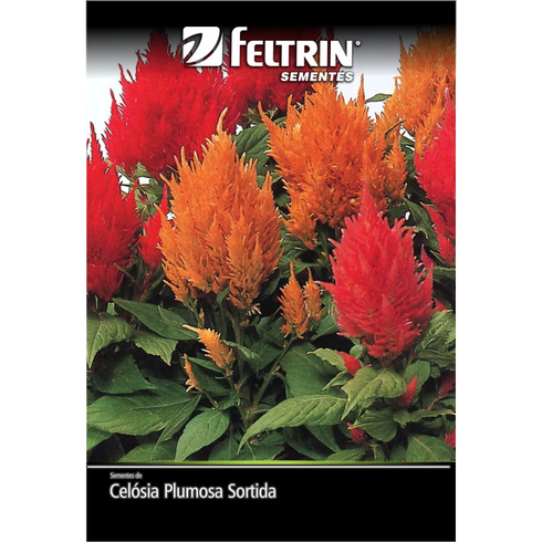 semente celsia plumosa sortida feltin eco 180mg