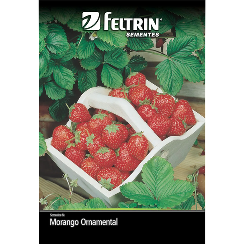 semente morango ornamental vermelho ruge feltrin eco 50mg