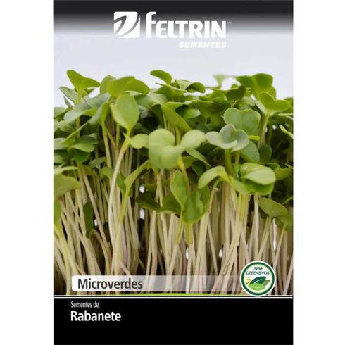 semente microverdes de rabanete crimson  gigante feltrin eco 14 g