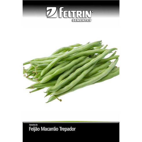 semente feijao macarrao  trepador  tempesta feltrin golden 10g