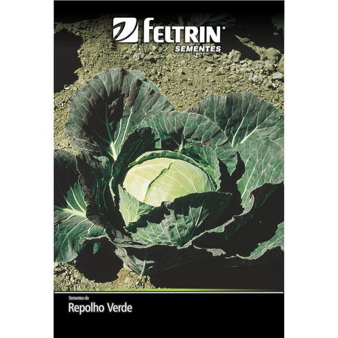 semente repolho verde chato do quintal feltrin golden 7g