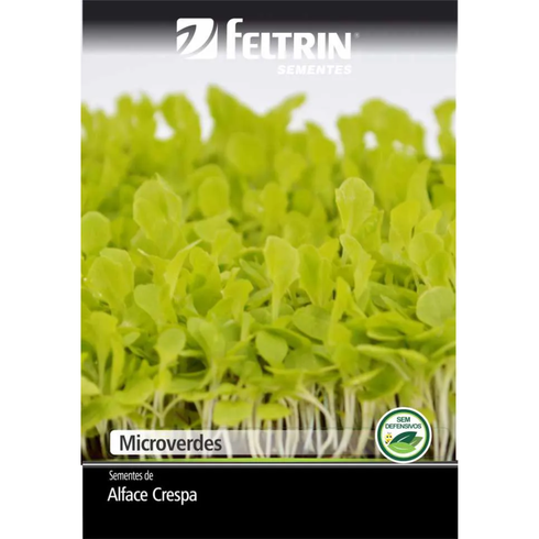 semente microverdes de alface crespa veneranda feltrin 700 mg