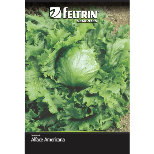 semente alface americana grandes lagos 659 golden feltrin 10 gramas