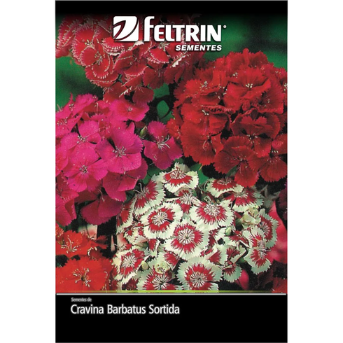 semente cravina barbatus sortida feltrin 200 mg