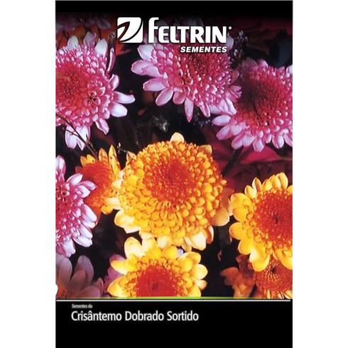 semente crisantemo dobrado sortido feltrin 320mg