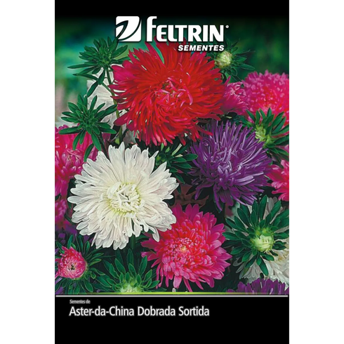 semente flor aster da china dobrada sortida feltrin 350mg