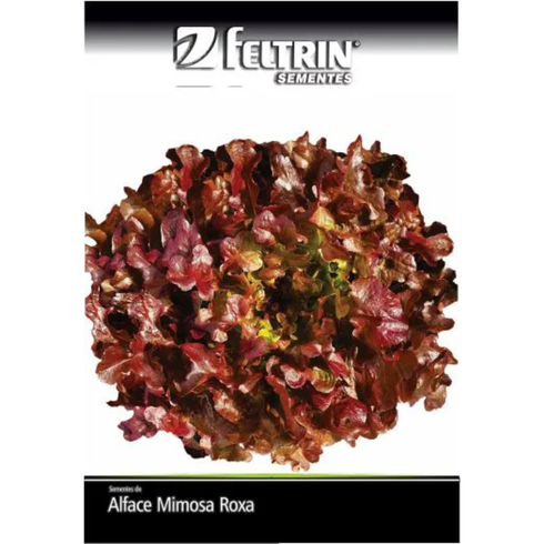 semente alface betania feltrin golden 5g