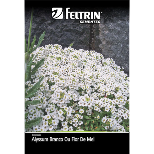 semente alyssum branco benthami feltrin eco 200mg