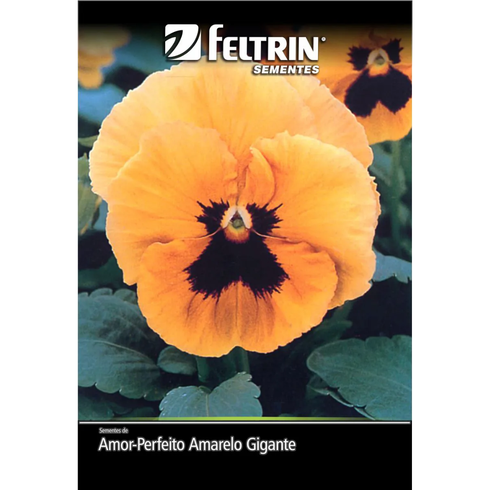 semente amor perfeito amarelo gigante suico com mascara feltrin 70mg