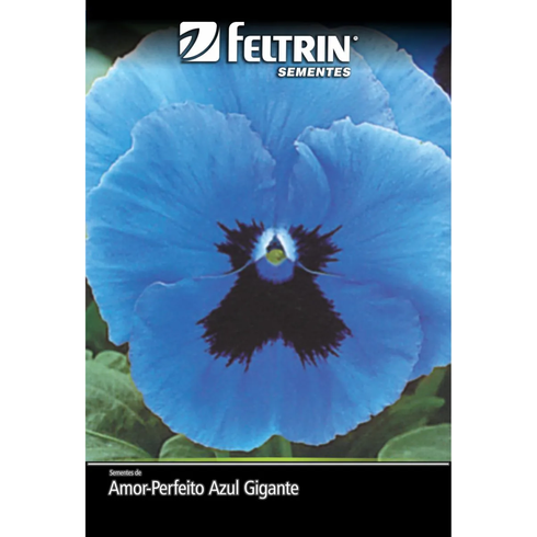 semente amor perfeito azul gigante suico com mascara feltrin 70mg