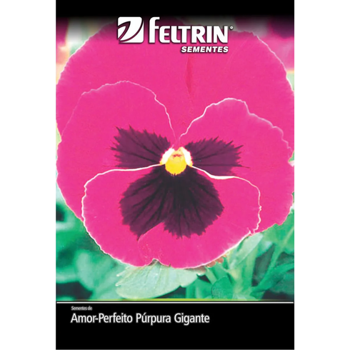 semente amor perfeito purpura gigante suico com mascara feltrin 70mg