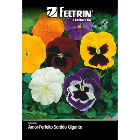 semente amor perfeito sortido gigante suico com mascara feltrin 70mg