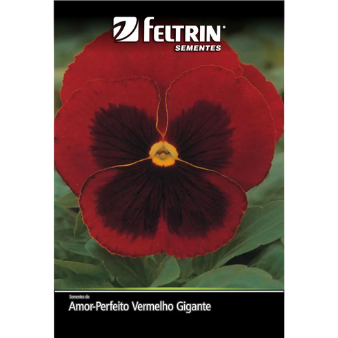 semente amor perfeito vermelho gigante suico com mascara feltrin 70mg