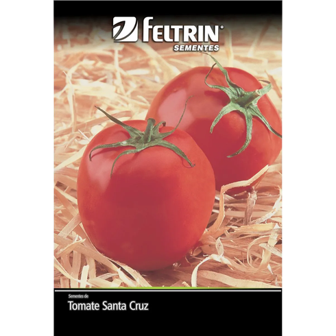 semente tomate santa cruz kada gigante feltrin golden 2g