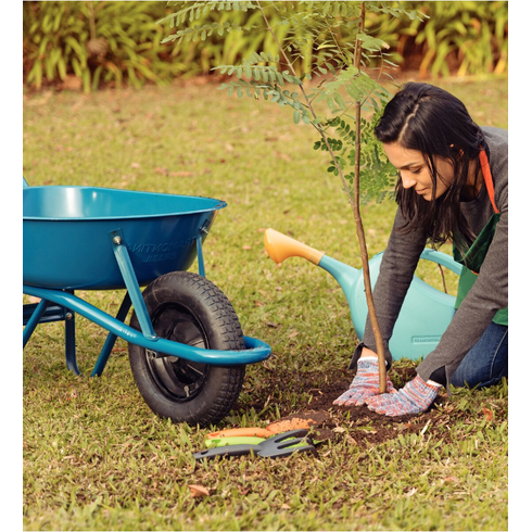 captura de tela 2024 03 07 164841