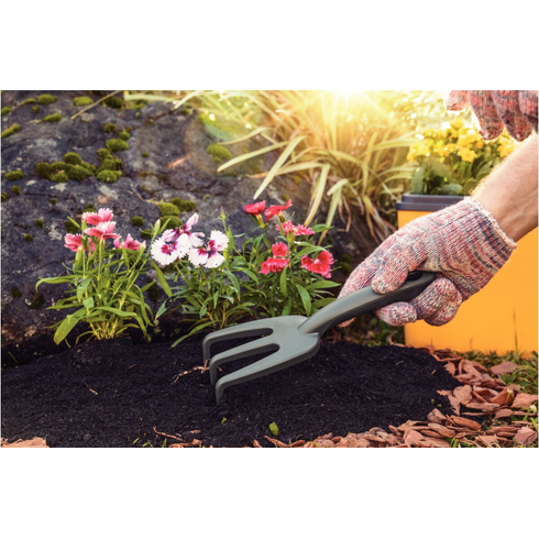 captura de tela 2024 03 07 164818