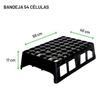Kit Bandeja Caixa 54 Células + 54 tubetes 175cm³