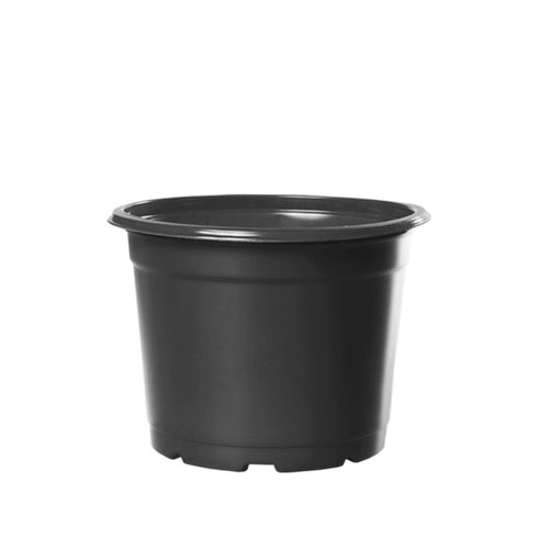agromania 45