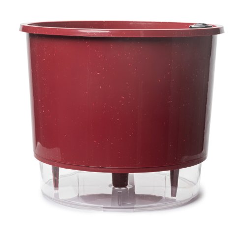 Vaso Auto 4 G Framboesa