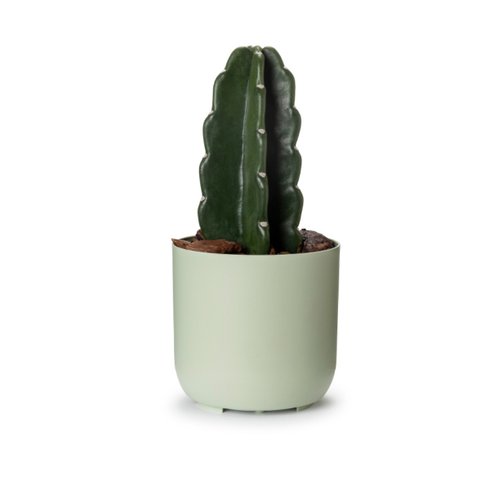 cachepo due n2 pote 12 raiz cor verde sage