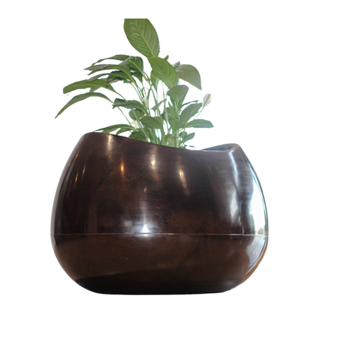 _ARCA 56 cafe imperial