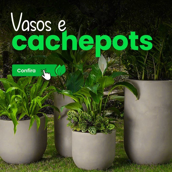 vasos e cachepots