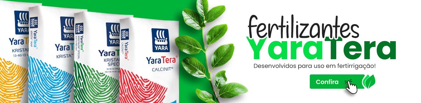 yaratera 1