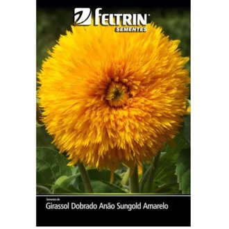 Semente Girassol Dobrado Anão Sungold Amarelo Feltrin Golden 