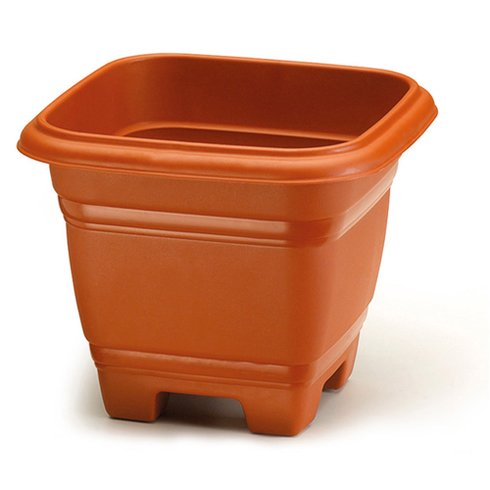 vaso rischioto