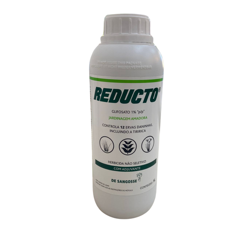 reducto 6