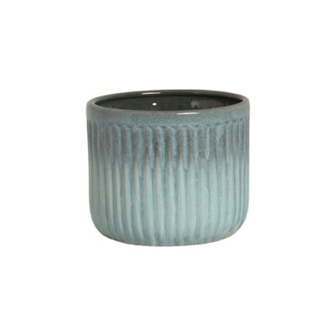 vaso violeta burguina