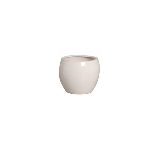 vaso intense burguina 2