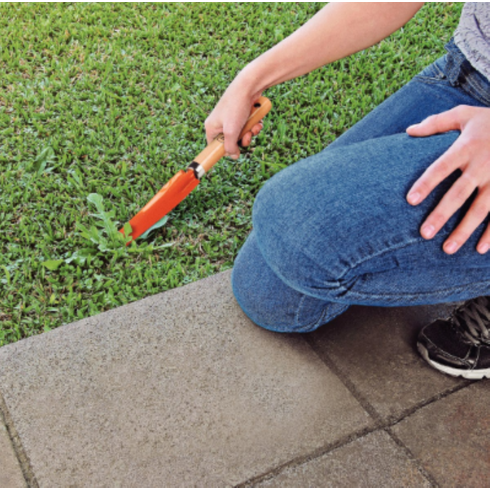 ancinho tramontina 4