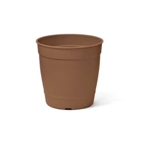 vaso aquarela marrom nozes