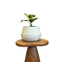 vaso brota company cuia 2