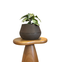 vaso brota company cuia 4