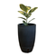 vaso brota company urbi 15