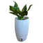 vaso brota company urbi 16