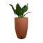 vaso brota company urbi 20