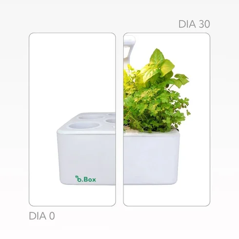 horta inteligente brota4