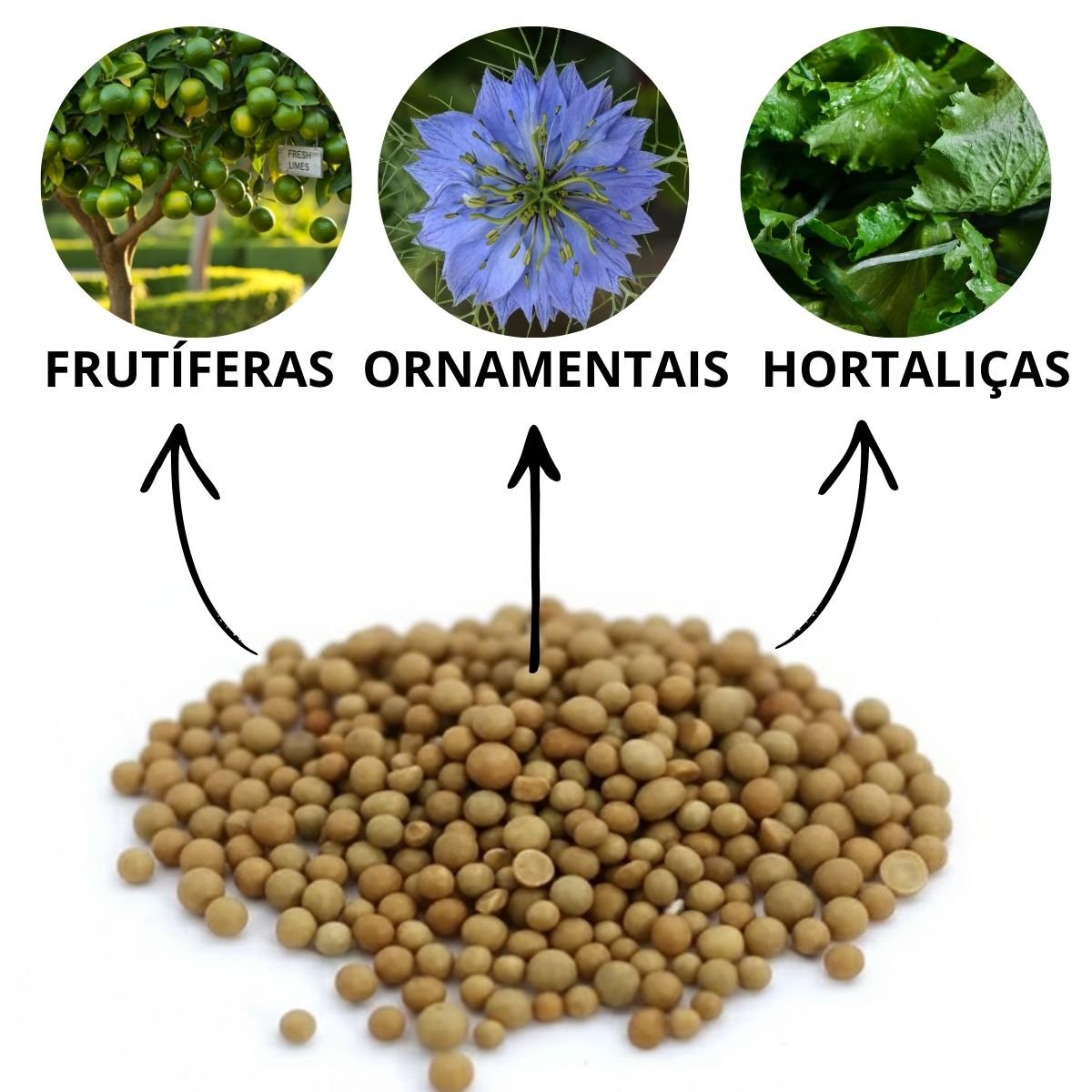 Fertilizante Forth Cote (Osmocote) 15-09-12 plus 5 Meses Forth 400 g