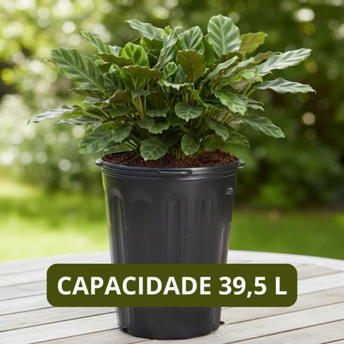 vaso flexiel 39 5l c alca 3