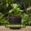 vaso flexivel 85l c alca 2