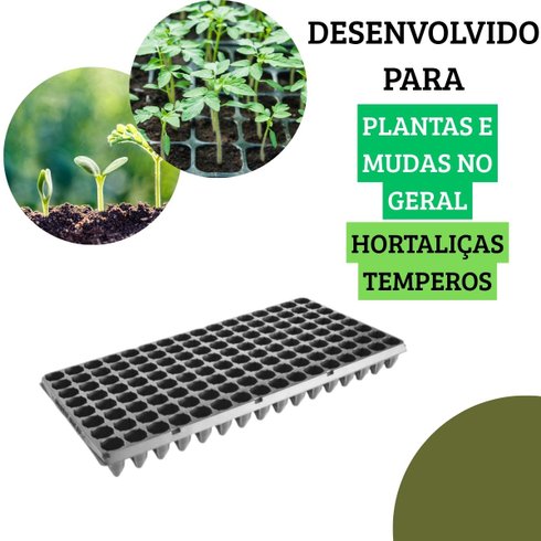 bandeja 128 celulas 2