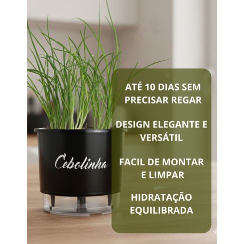 autoirrigavel n03 cebolinha
