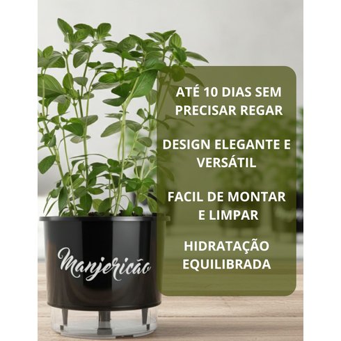 autoirrigavel n03 manjericao
