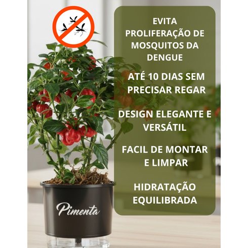 autoirrigavel n03 pimenta