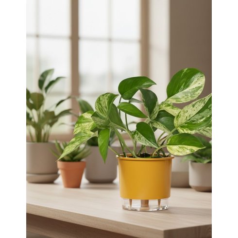 colecao terrazo arenito 02