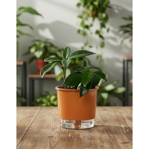 colecao terrazo terracota 02