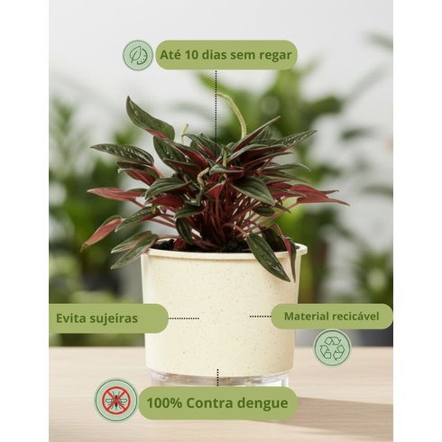 colecao terrazo calcario 01
